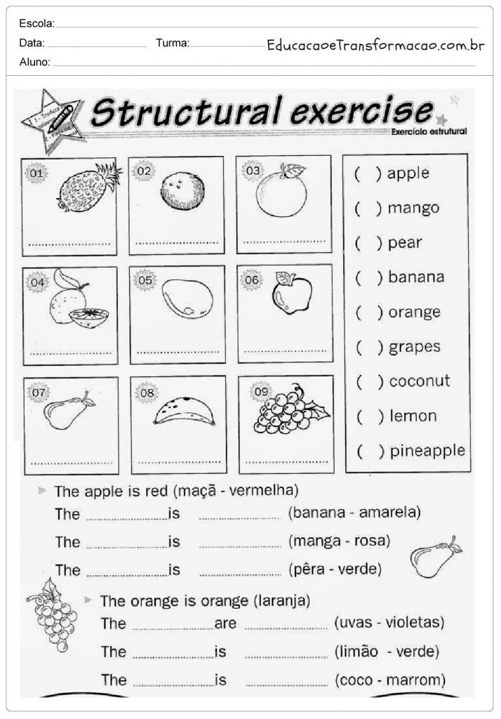 Atividades de Inglês 3 ano do Ensino Fundamental - Para Imprimir.