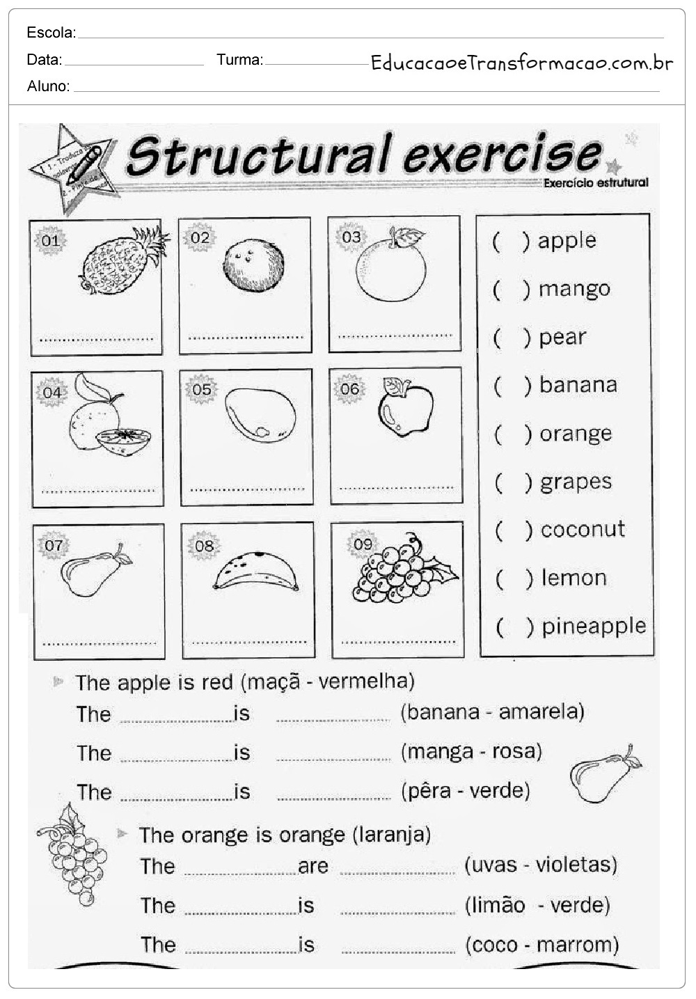 Atividades de Inglês 3 ano do Ensino Fundamental - Para Imprimir.