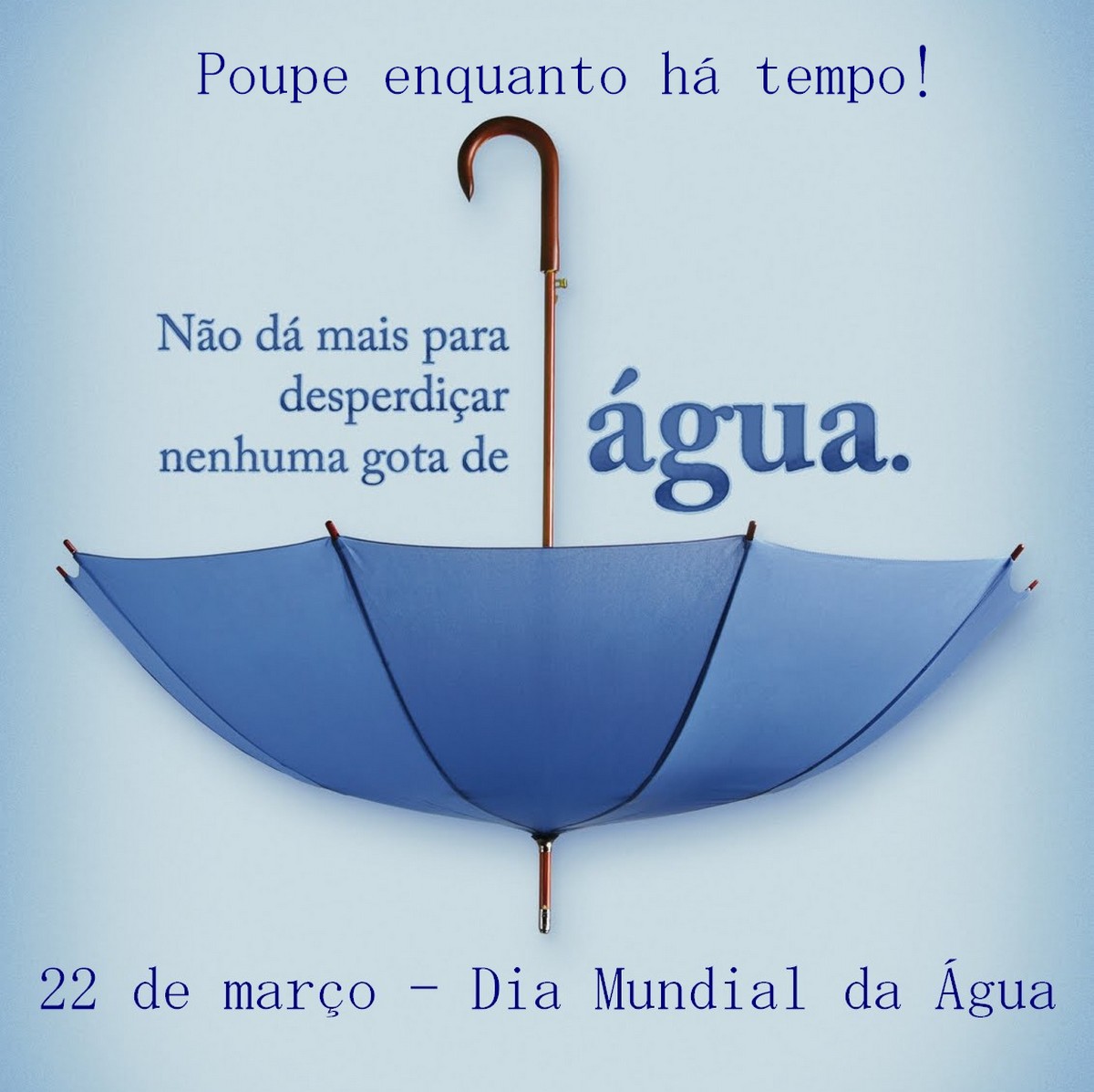 Cartaz Dia da Água em EVA