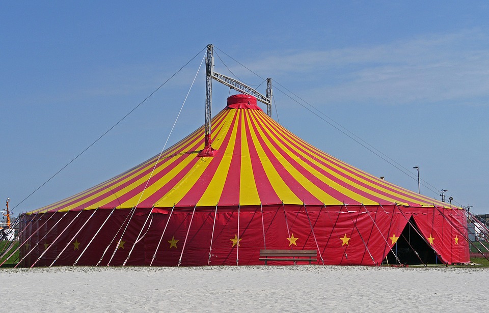 Plano de Aula Dia do Circo Educação Infantil