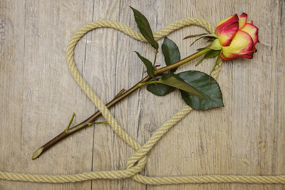 Atividades de Interpretação de Texto para Dia das Mães - O Dia das Mães