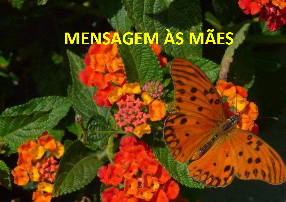 Mensagem dia das mães - Mãe amada