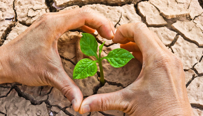 Dinâmica sobre Meio Ambiente - Contando histórias