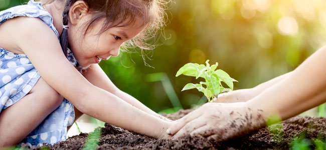 Textos sobre meio ambiente