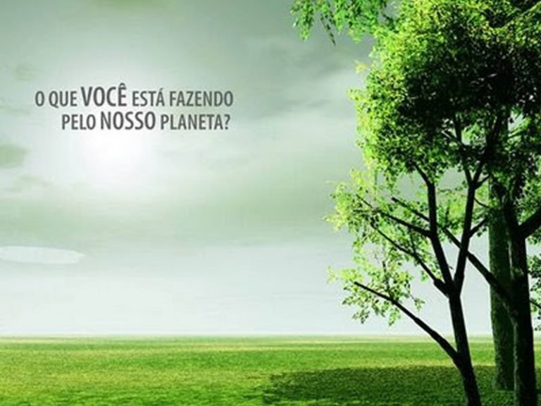Frases sobre o meio ambiente - Mensagens sobre a preservação