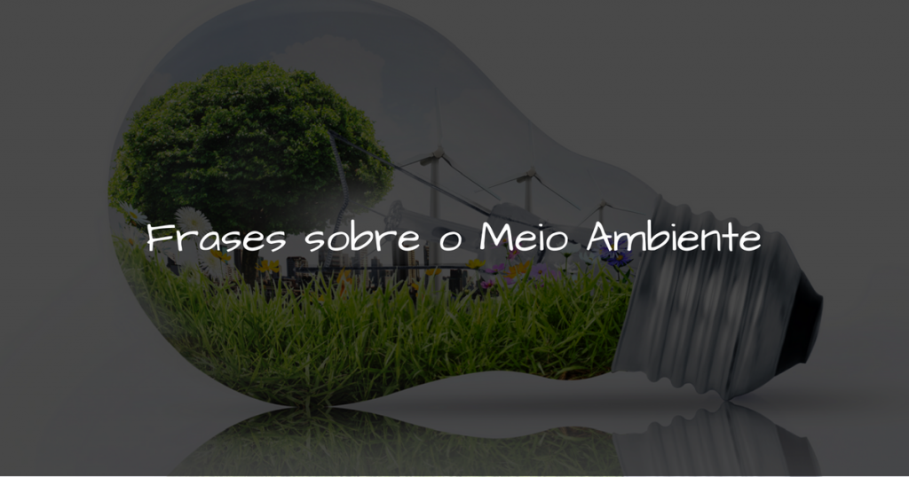 Frases sobre o meio ambiente