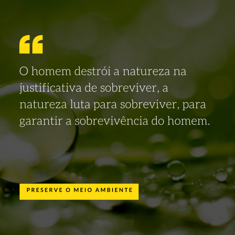 Frases sobre o meio ambiente - Mensagens sobre a preservação