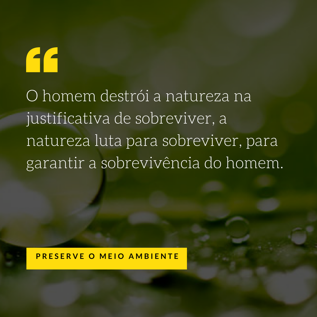 Frases Sobre Preservar O Meio Ambiente Frases De Deus