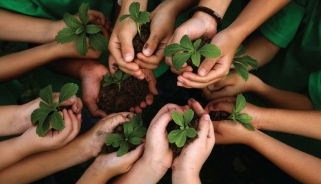 Dinâmica sobre Meio Ambiente - Trilha ecológica