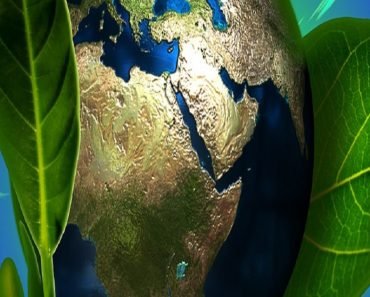 Plano de aula sobre meio ambiente
