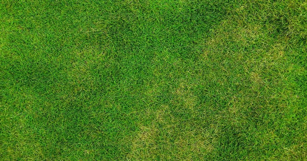 Projeto Copa do Mundo de História