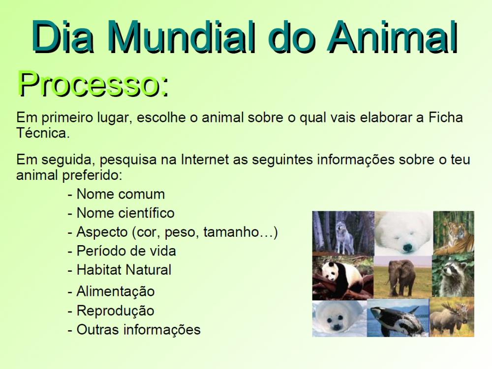 Dia Mundial dos Animais