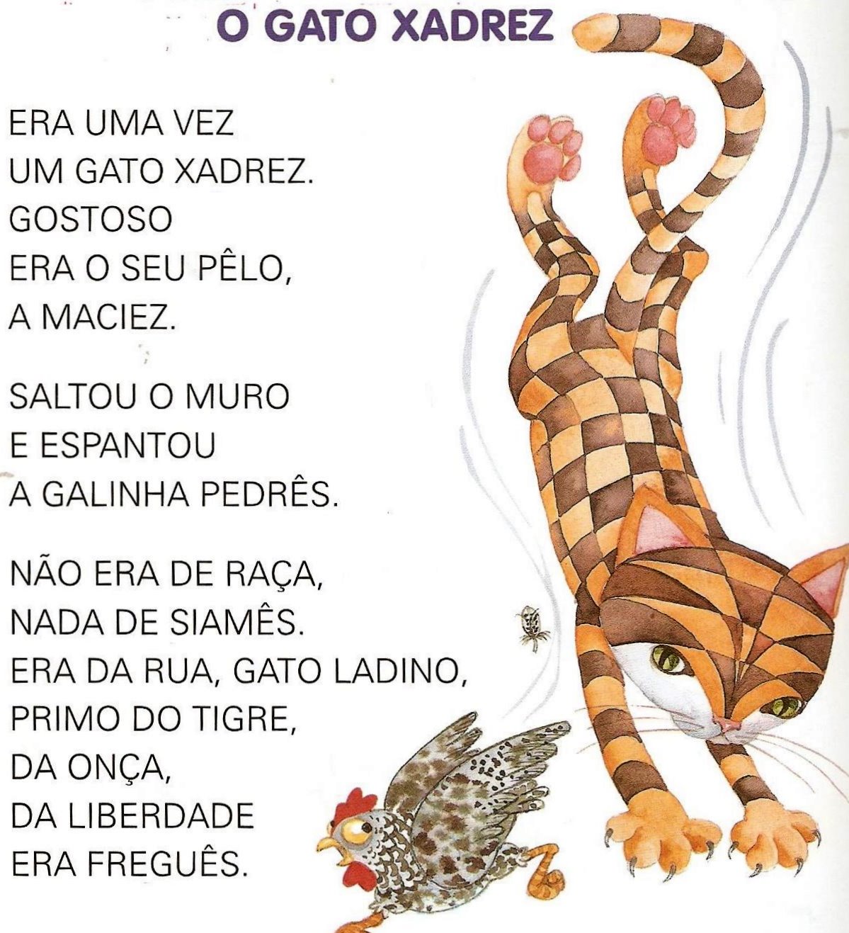 Texto infantil â€“ O gato xadrez