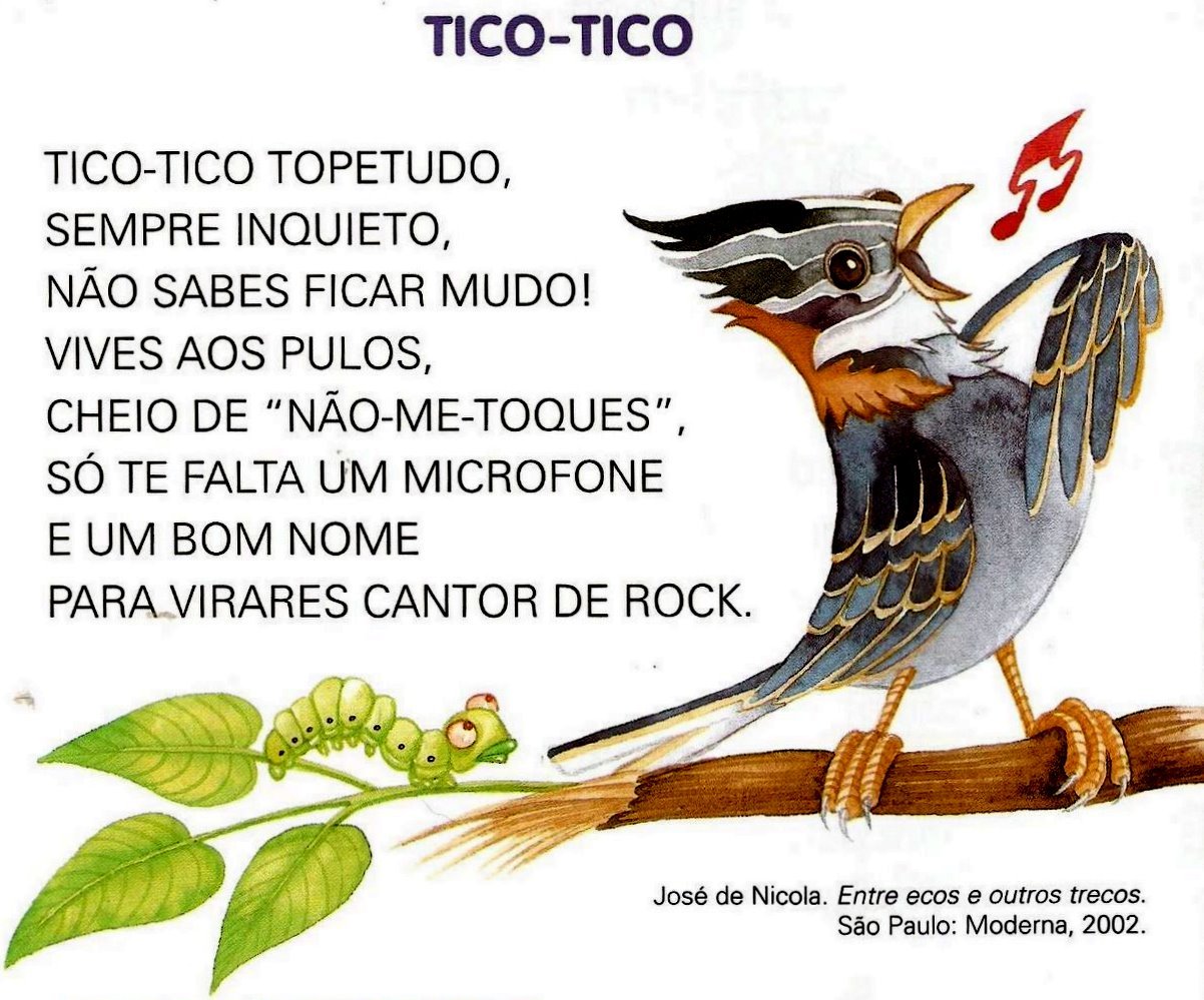 Texto infantil - Tico Tico – Educação e Transformação
