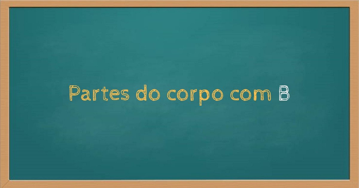Partes do corpo com B