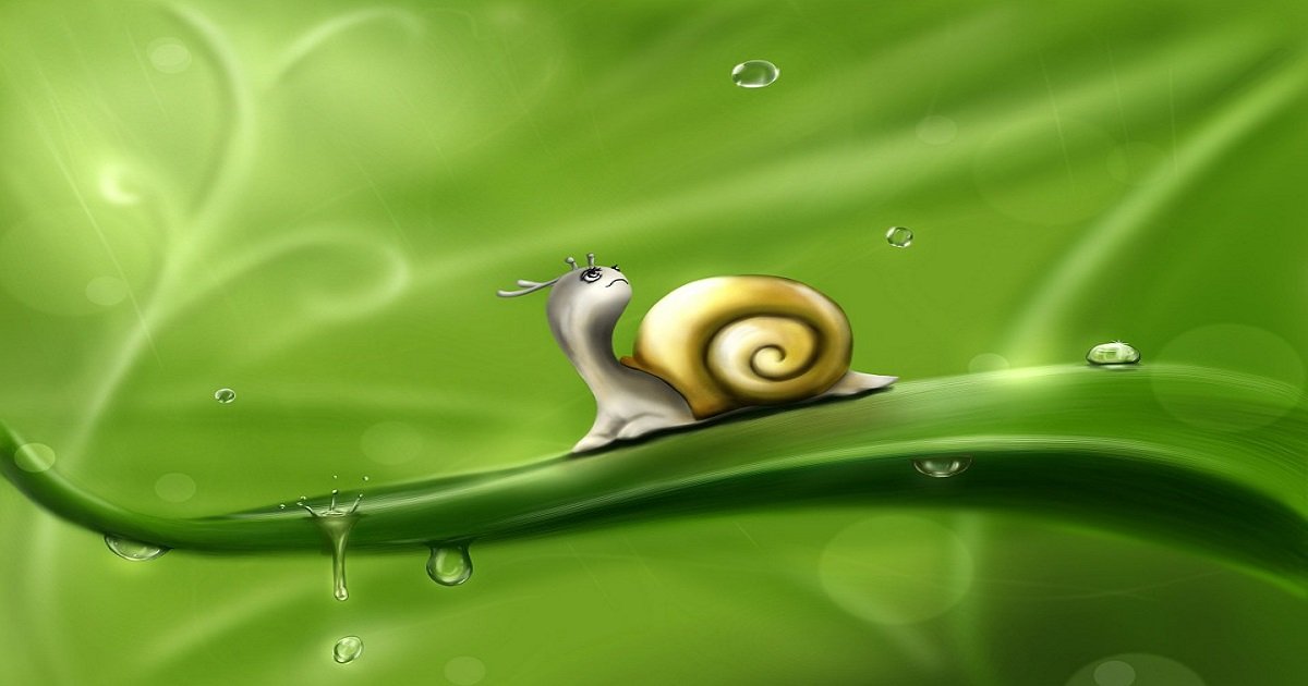 Desenhos de caracol
