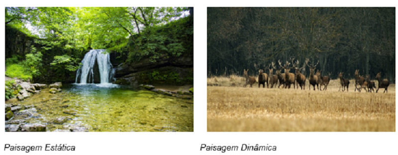 Paisagem Estática e Dinâmica