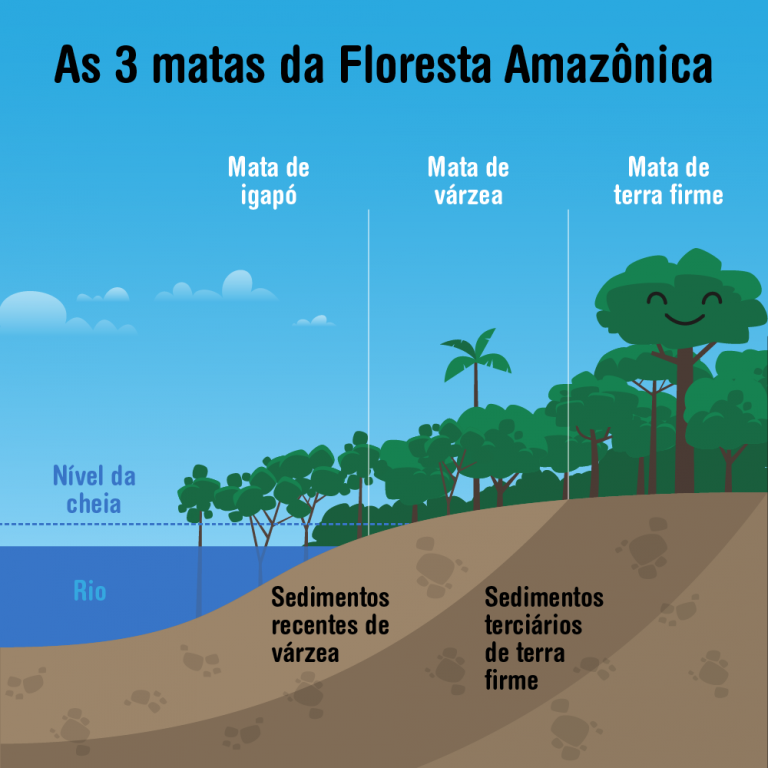 Região Norte do Brasil - Relevo, clima, vegetação e hidrografia