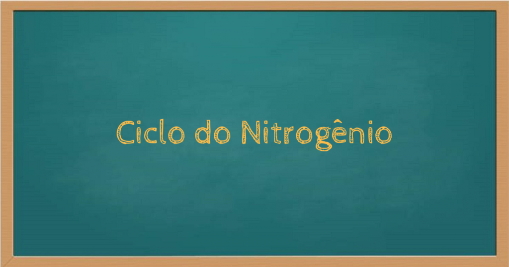Ciclo do nitrogênio