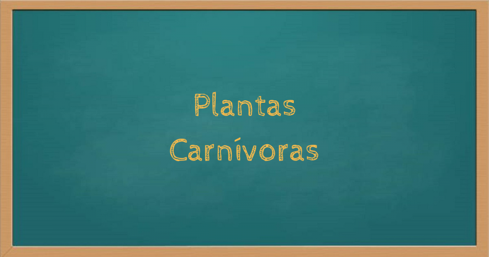 Plantas Carnívoras