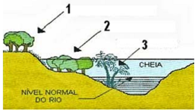 Matas da Floresta Amazônica