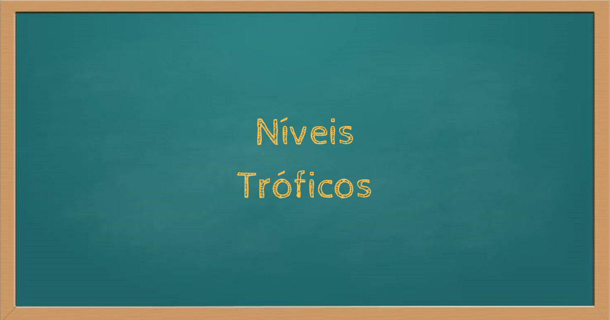 Níveis Tróficos