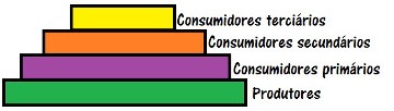 Pirâmides ecológicas ou pirâmides tróficas