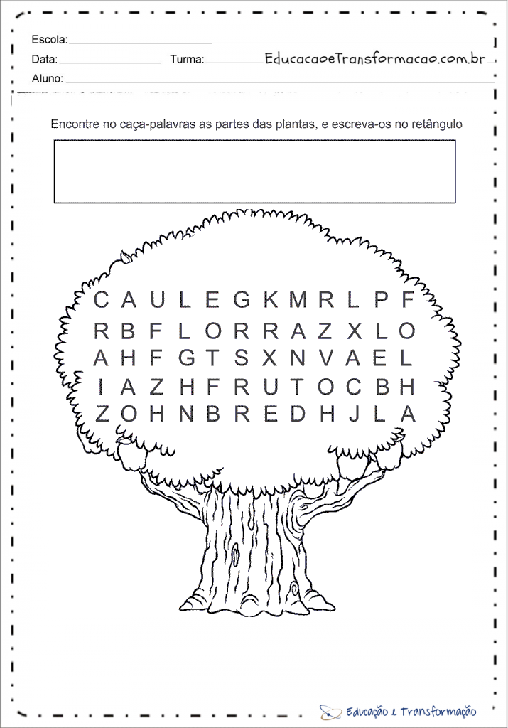 Atividades de Geografia 1º Ano