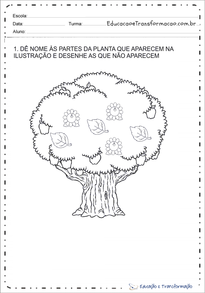 Atividades de Geografia 1º Ano