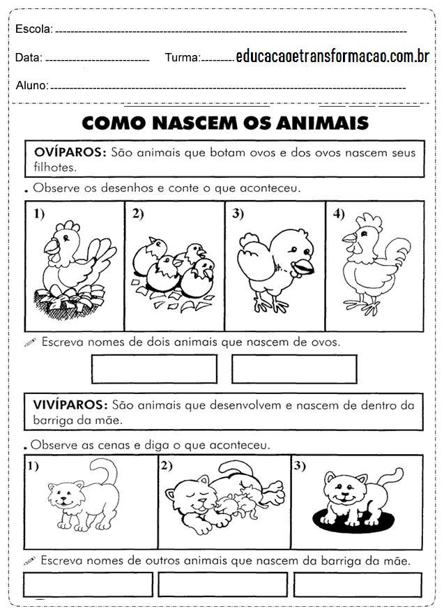 Atividades de Ciências 1 ano: Animais - Para imprimir - Folha 05