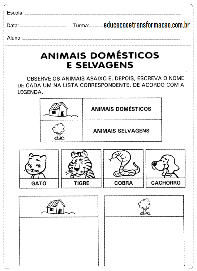 Atividades de Ciências 1 ano: Animais - Para imprimir - Folha 01