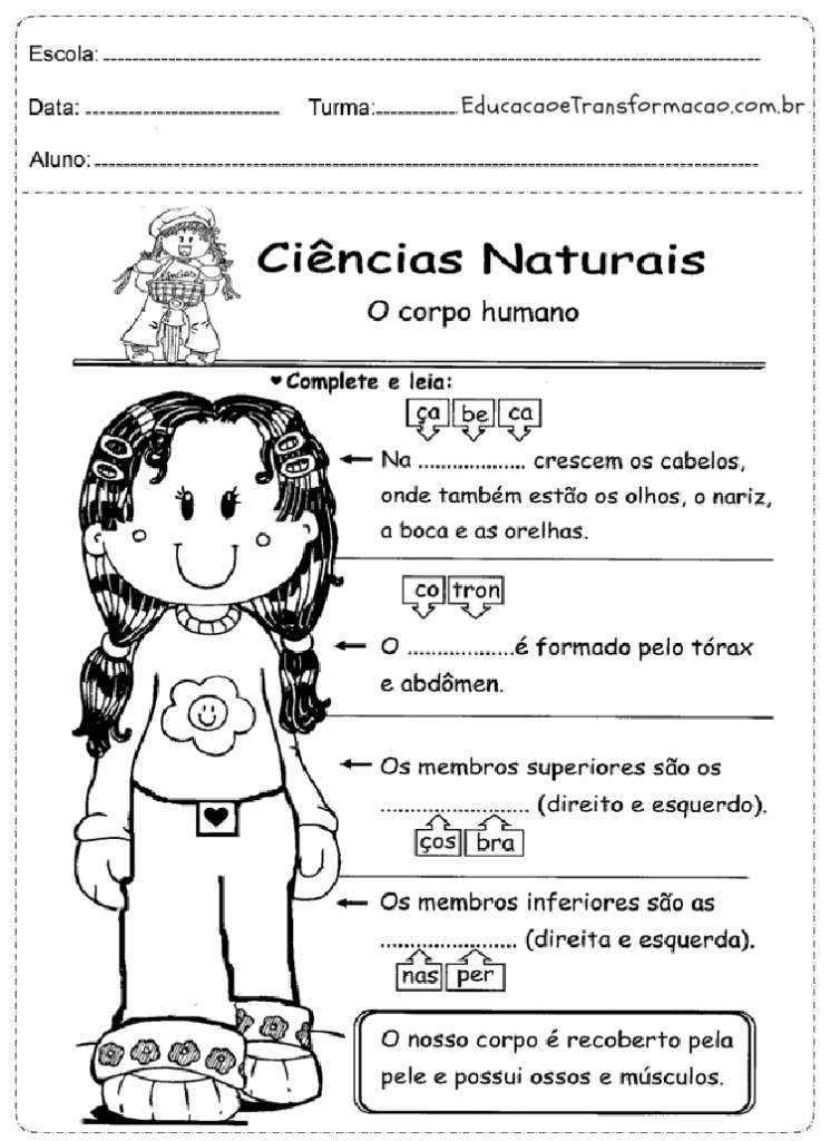 Atividades de Ciências 1 ano: Corpo Humano - Folha 03