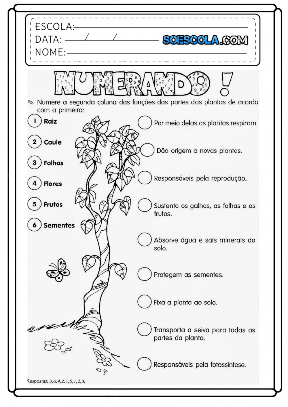 Atividades de Ciências 4 ano – Educação e Transformação