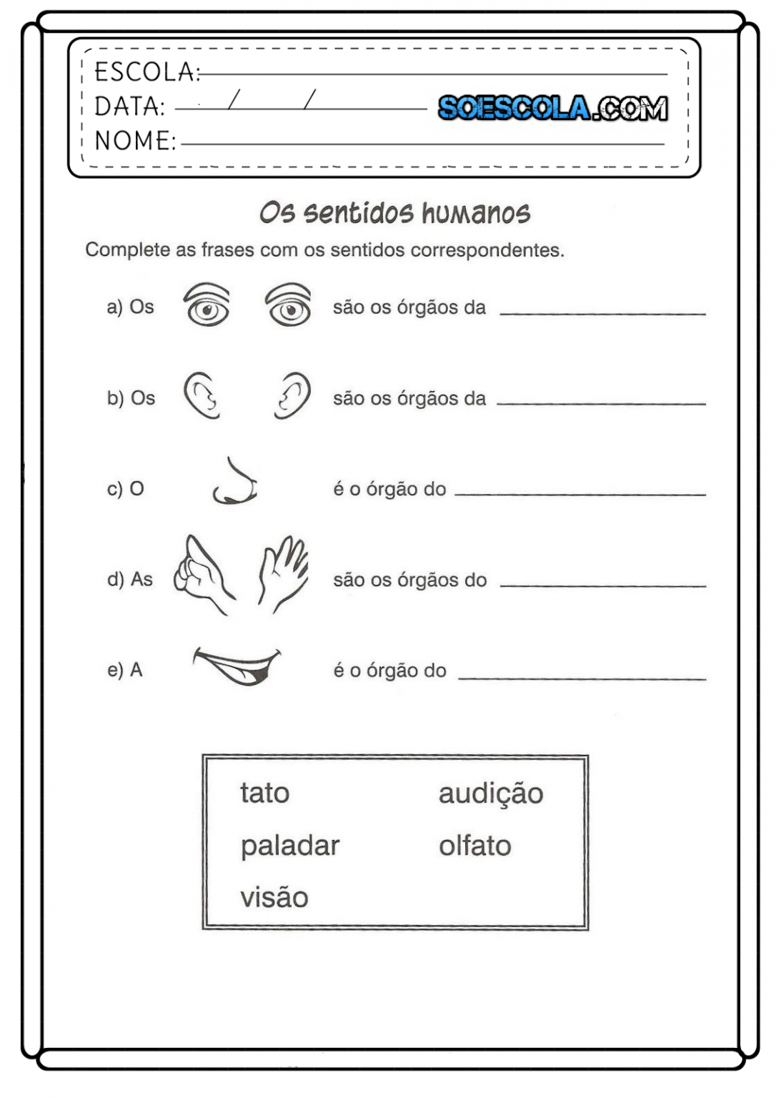 Atividades de Ciências 4 ano – Educação e Transformação