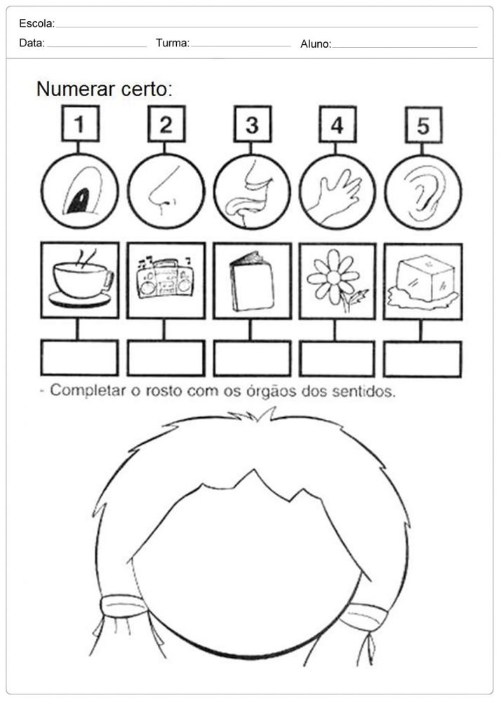 Atividades Os Cinco Sentidos - Para Educação Infantil - Folha 03