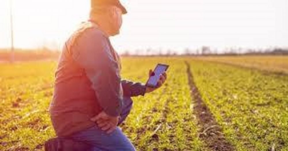 O que faz um Engenheiro Agrônomo?