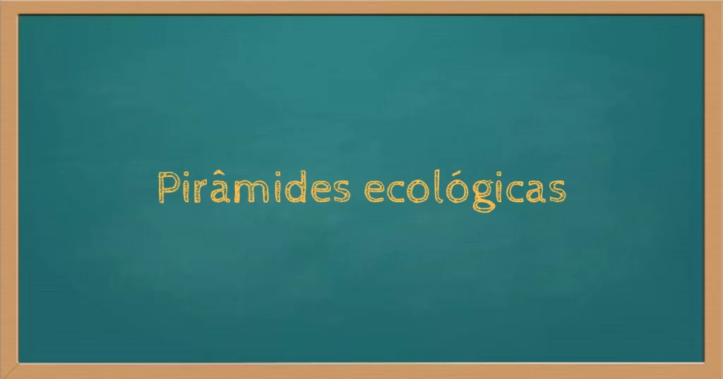 Pirâmides ecológicas ou pirâmides tróficas